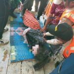 Polsek Prabar Bersama Basarnas Evakuasi WNA Korban Tenggelam Di Pantai Torok Aik Belek