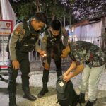 Pastikan Konser Band Dewa 19 Berjalan Aman Dan Tertib Polres Loteng Lakukan pengamanan Berlapis
