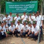 Perhutani KPH Jember Laksanakan Tabur Serentak Benih Pinus