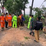 Gerak Cepat Polisi dan TNI Bantu Tangani Pohon Tumbang, Jalan Raya Gondang Tulungagung Kembali Normal