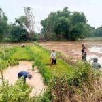 Babinsa Koramil 0829-08/Tragah Cek Irigasi Sawah Bersama Warga