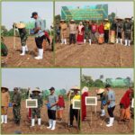 Sukseskan Hanpangan, Kodim 0829 Bangkalan Tanam Jagung Serentak