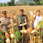 Dukung Produksi Pangan, Satgas Pangan Polri Dampingi Dirjen Tanaman Pangan Kementan Panen di Tuban