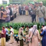 Dispertahorbun Bangkalan Gelar Pelatihan Tanaman Cabai dan Tomat dipekarangan Rumah.