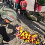 TK J2 ROSITA mama papua dengan cepet dan sigap.