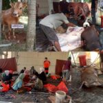 Polres Bangkalan Dan Jajaran Potong Hewan Kurban, 6 Ekor Sapi dan 2 Kambing