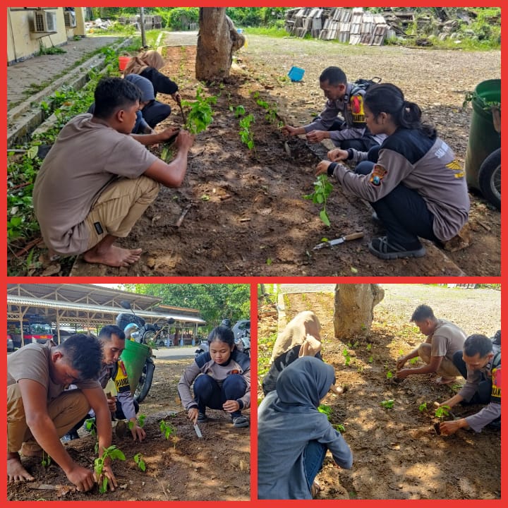 Wujudkan Program Astacita, Polres Bangkalan Gandeng Saka Bhayangkara Garap “Kebun Mini” Memandirikan Ketahanan Pekarangan