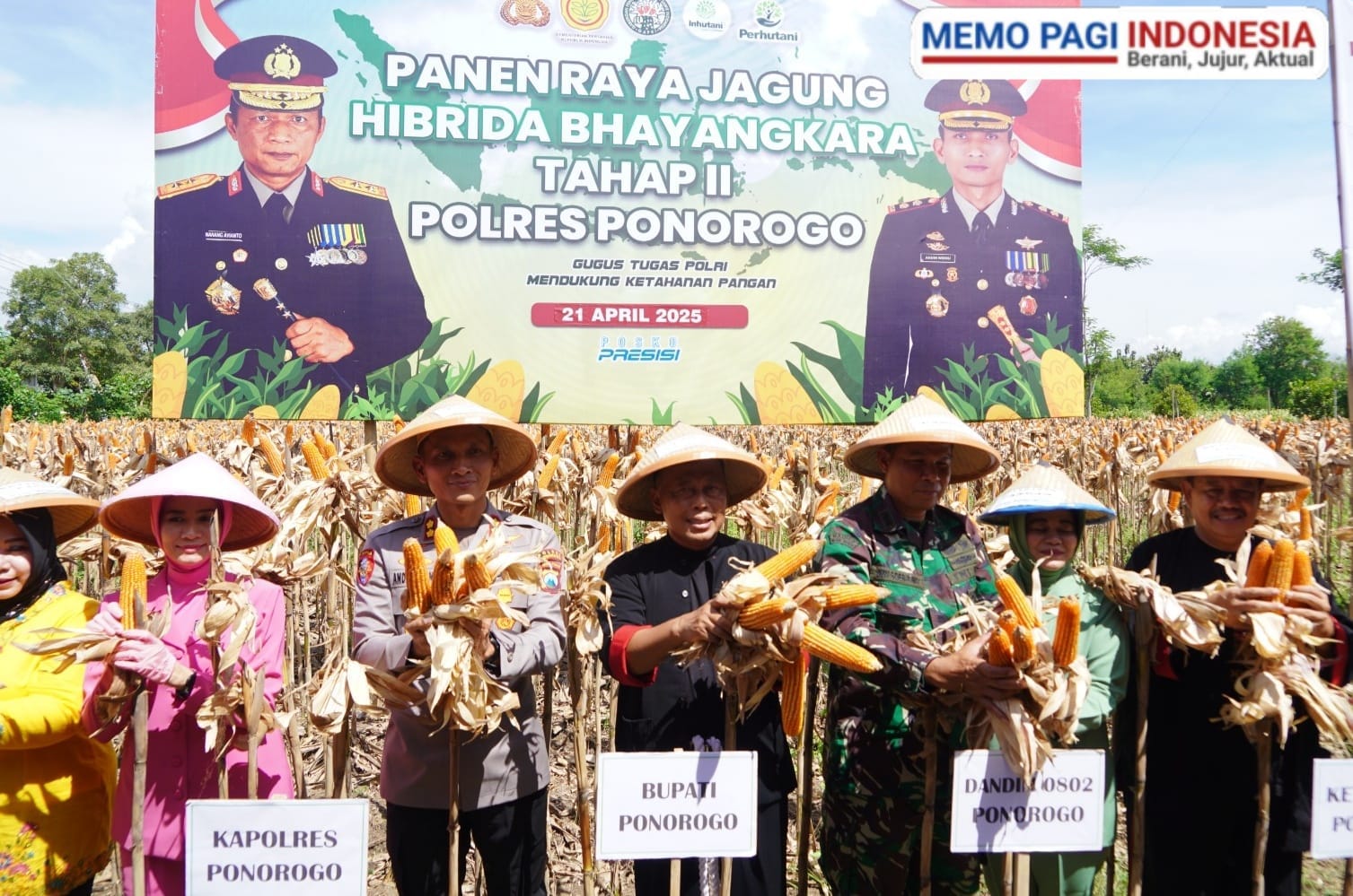 Petani di Ponorogo Puas dengan Jagung Hibrida Bhayangkara, Panen Melimpah dan Tahan Penyakit