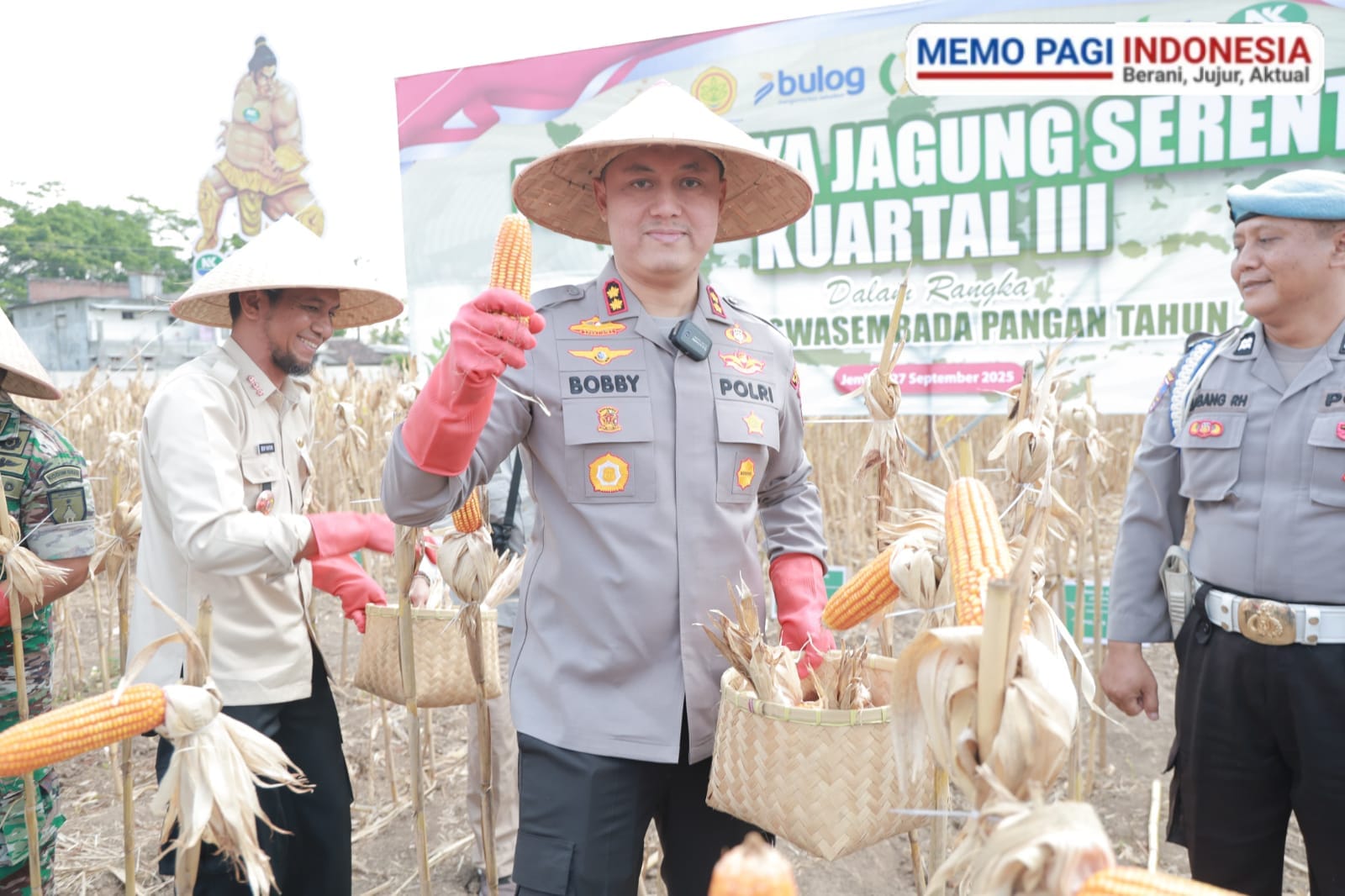 Polres Jember Gelar Panen Raya Jagung Serentak Kwartal III di Puger