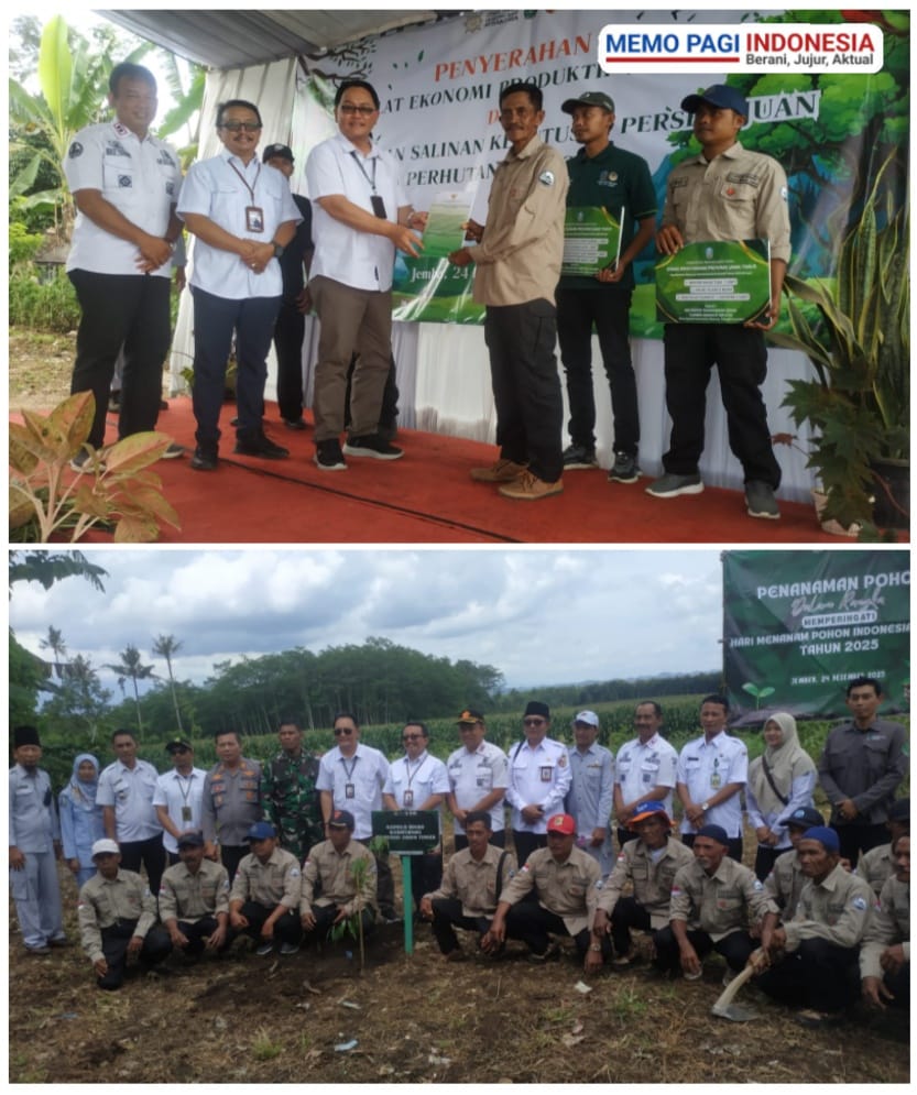 Wujud Nyata Kepedulian Pemerintah kepada Masyarakat Pinggiran Hutan, Penyerahan AEP Kepada Gapoktan Sumber Makmur Desa Seputih